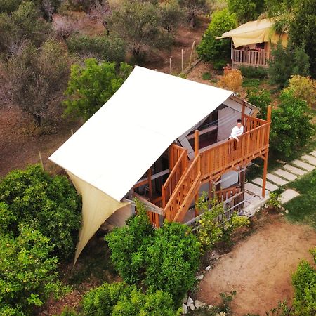Ciriga Sicily Glamping Resort 圣玛丽亚德尔法加洛 外观 照片