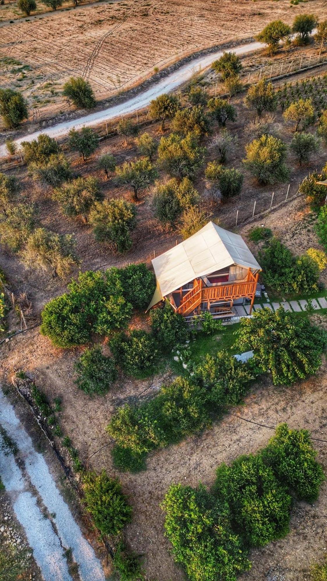Ciriga Sicily Glamping Resort 圣玛丽亚德尔法加洛 外观 照片